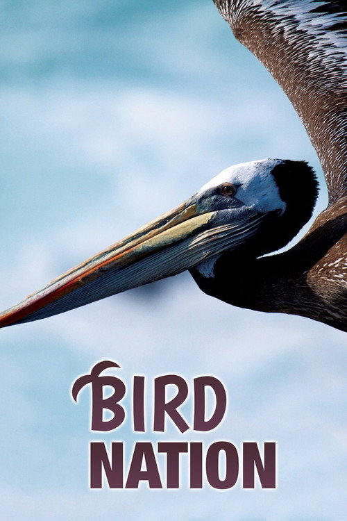 Bird Nation