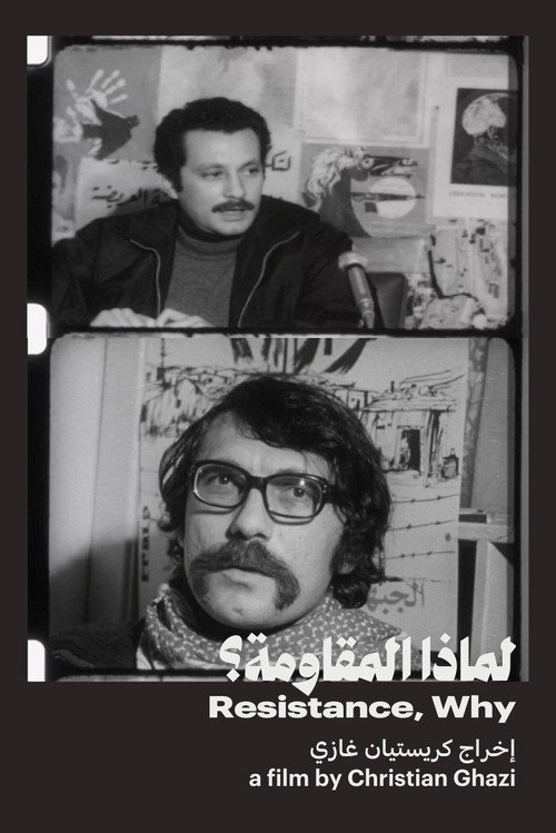 لماذا المقاومة