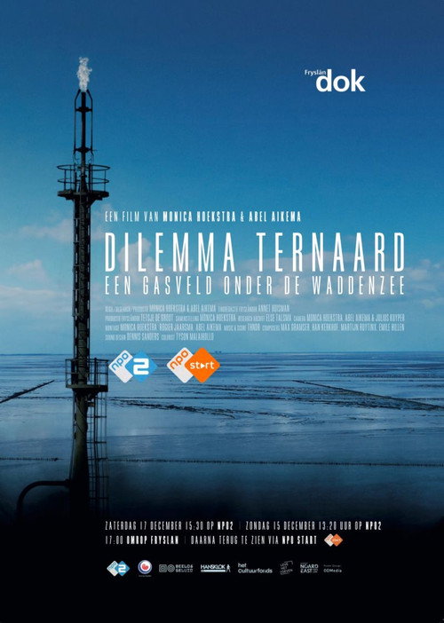 Dilemma Ternaard - Een gasveld onder de Waddenzee
