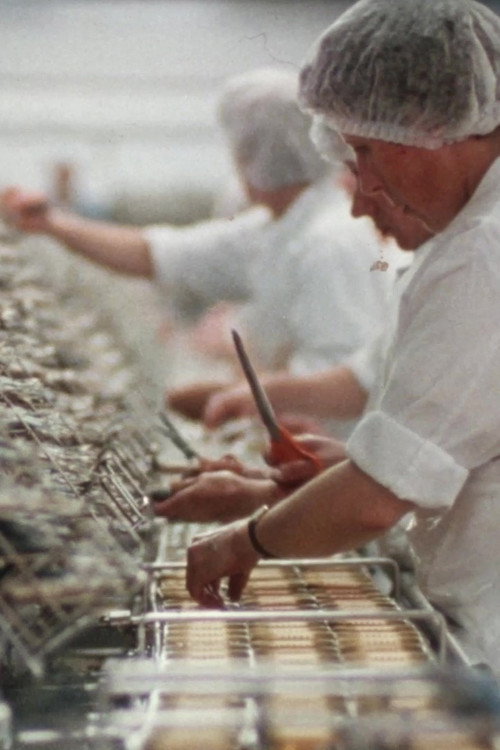 Les Filles de la Sardine