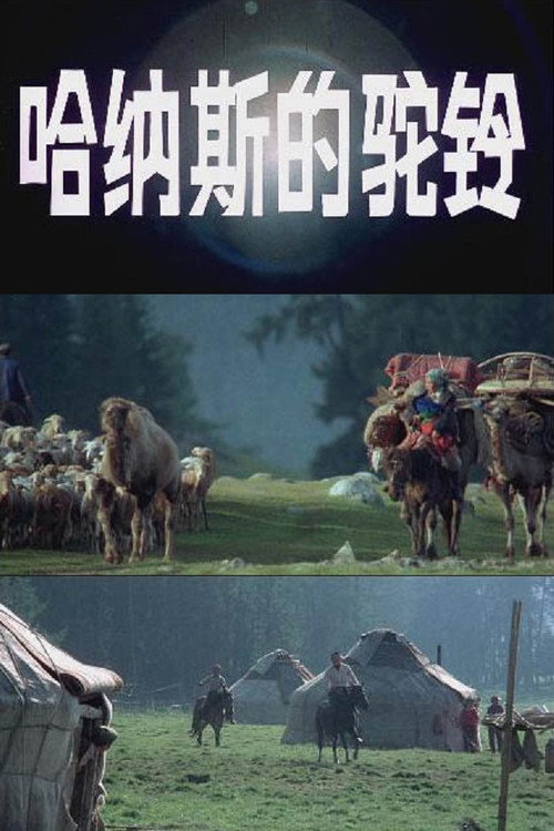 哈纳斯的驼铃