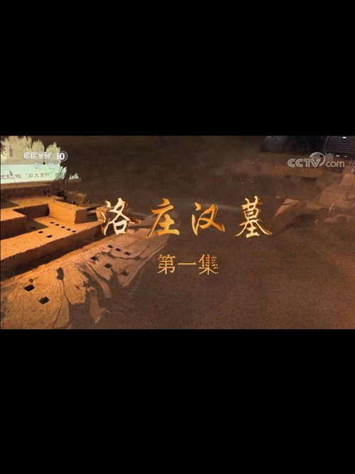 洛庄汉墓