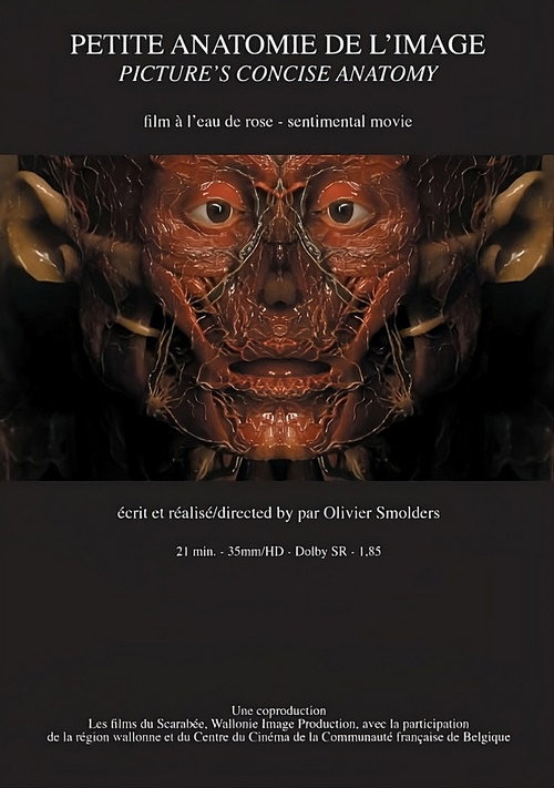Petite anatomie de l'image