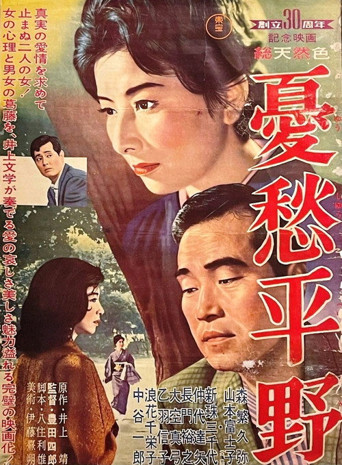 憂愁平野