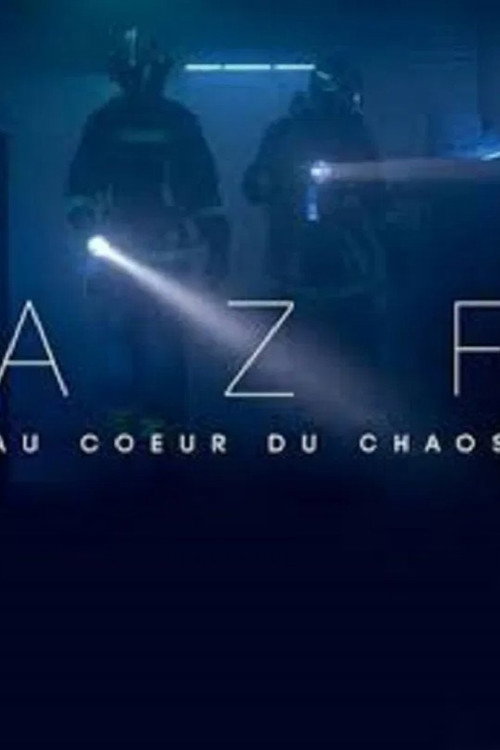 AZF: Au coeur du chaos