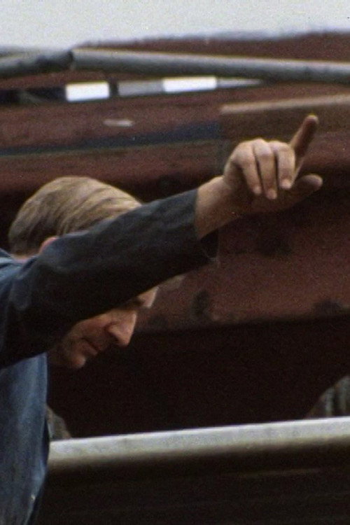 Hands