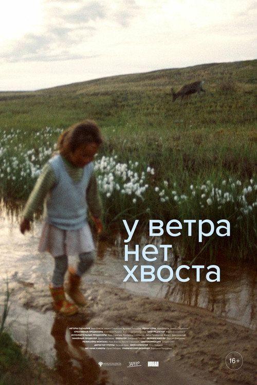 У ветра нет хвоста