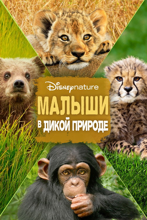 Малыши в дикой природе