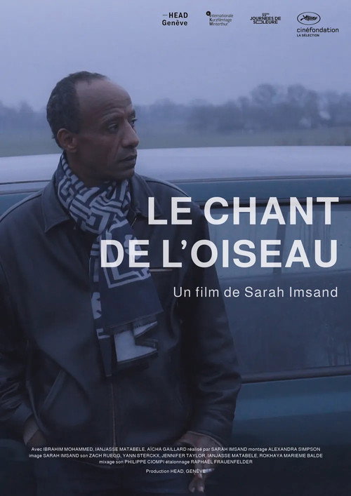 Le chant de l’oiseau