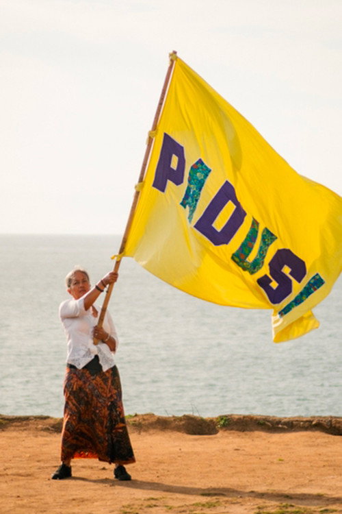 After the Flags