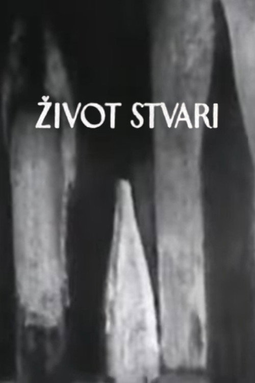 Život stvari