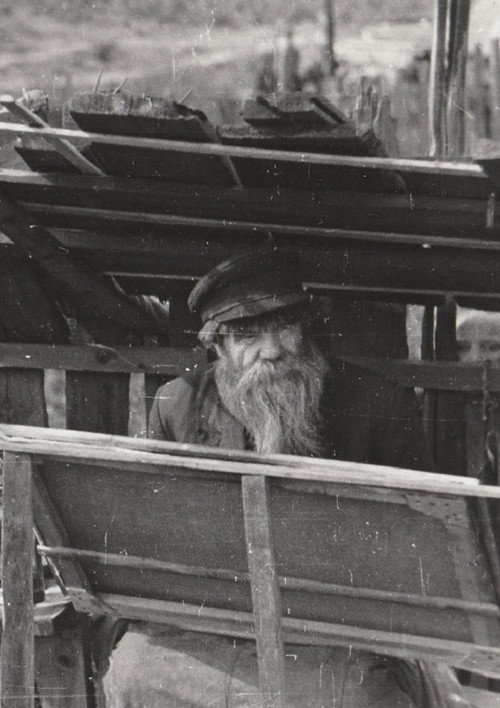 Иван Селиванов