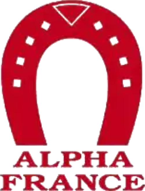 Логотип Alpha France