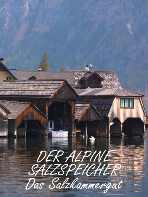 Der alpine Salzspeicher