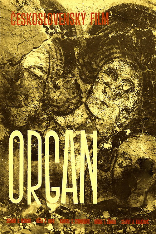 Organ