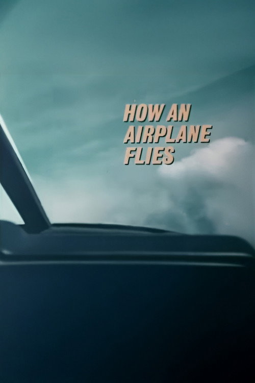 How An Airplane Flies