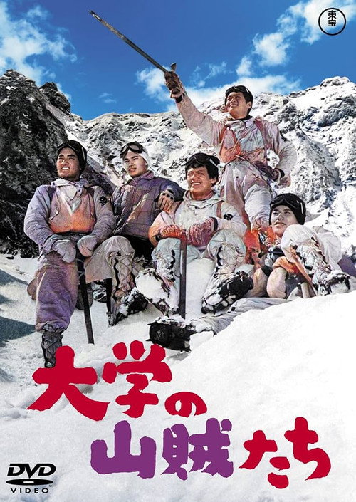 大学の山賊たち