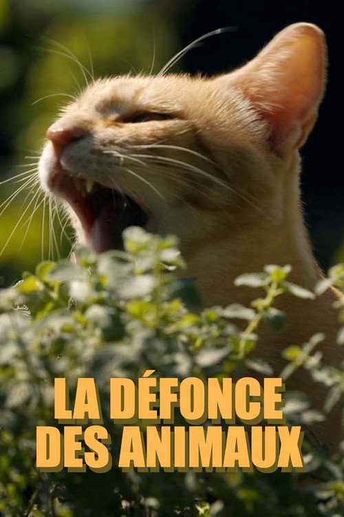 La défonce des animaux