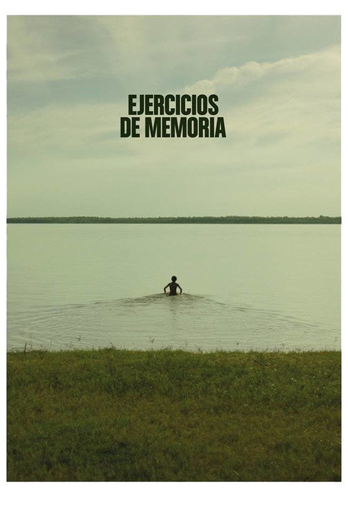 Ejercicios de Memoria