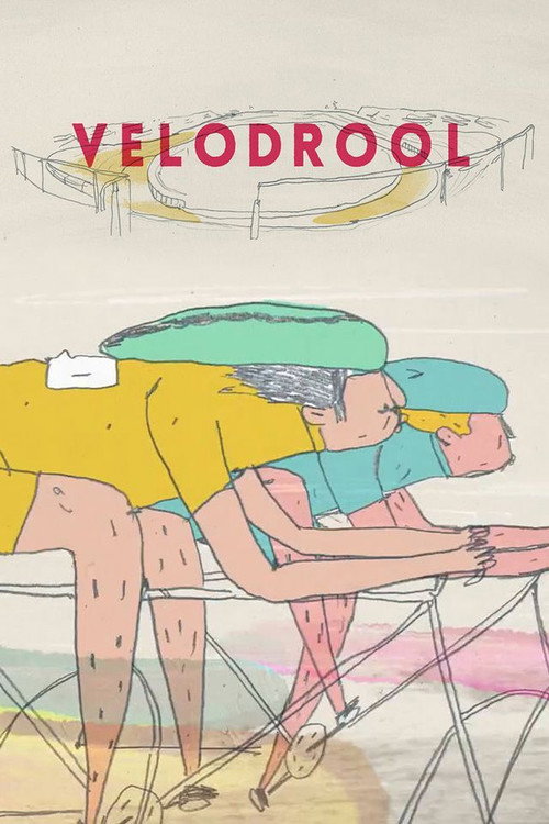 Велоколесица