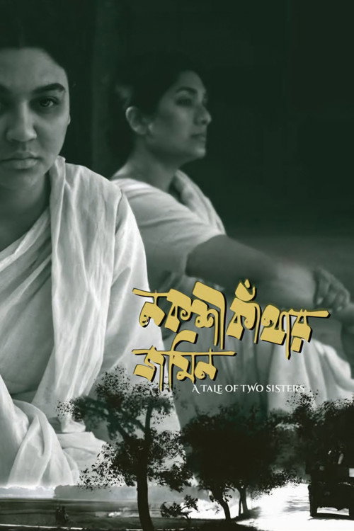 নকশী কাঁথার জমিন