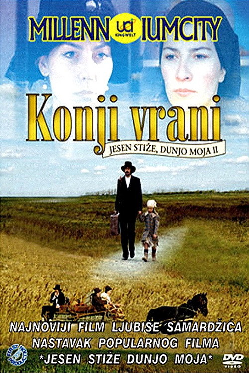 Konji vrani