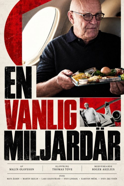 En vanlig miljardär