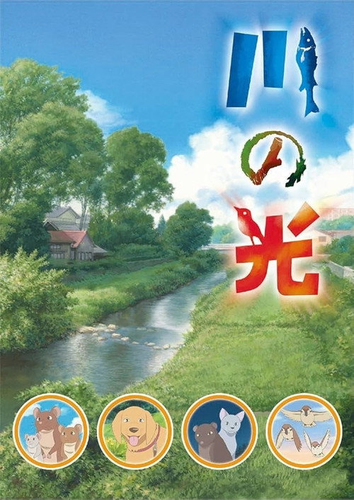 川の光