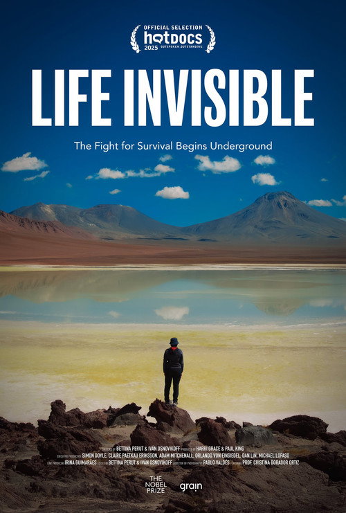 Vida invisible