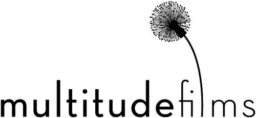 Логотип Multitude Films
