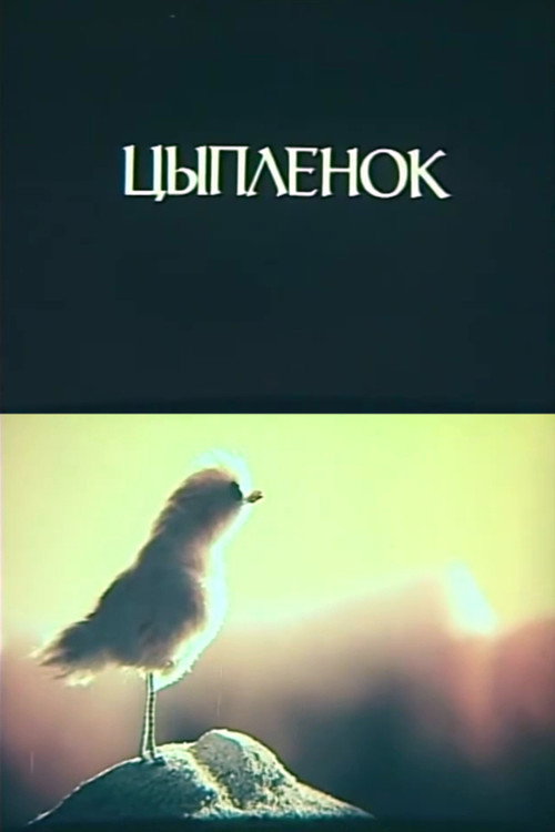 Цыплёнок