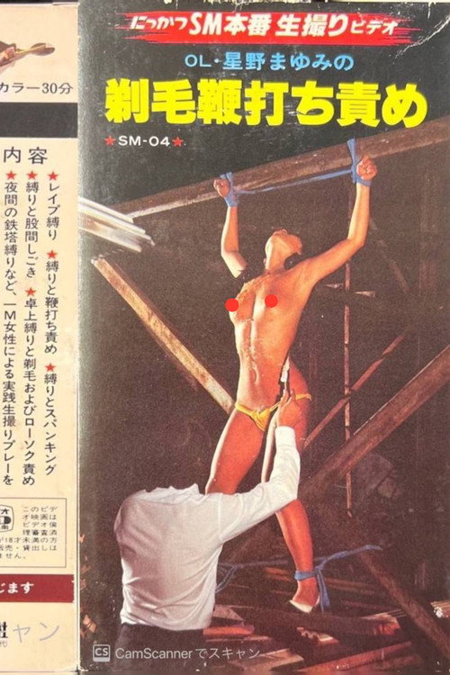 OL・星野まゆみの 剃毛鞭打ち責め