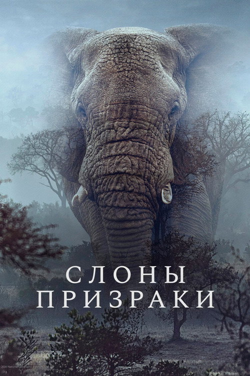 Слоны-призраки