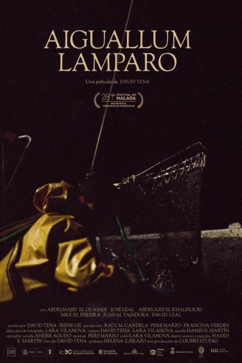 Aiguallum Lamparo