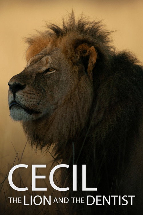 Cecil