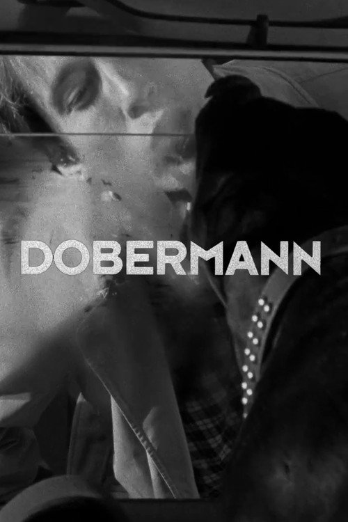 Dobermann