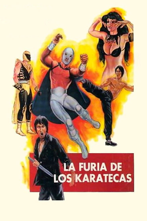 La furia de los karatecas