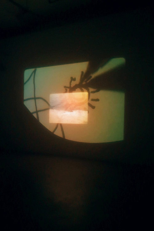 A Conversation with the Sun