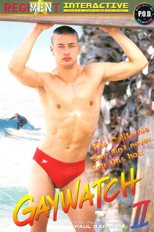 Gaywatch 2