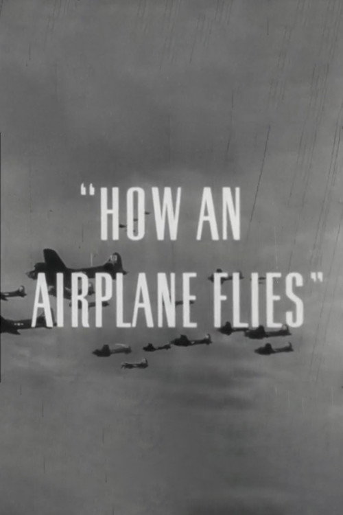 How An Airplane Flies