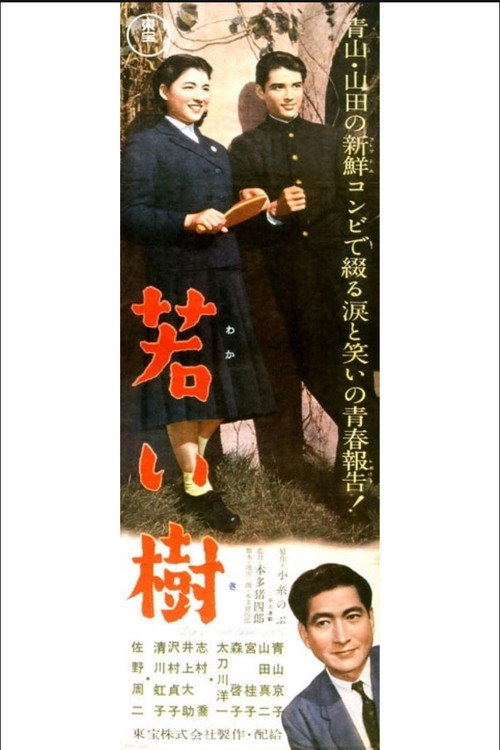 若い樹