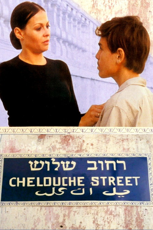 הבית ברחוב שלוש
