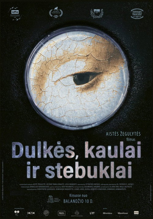 Dulkės, kaulai ir stebuklai