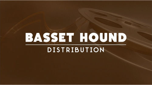 Логотип Basset Hound Distribution