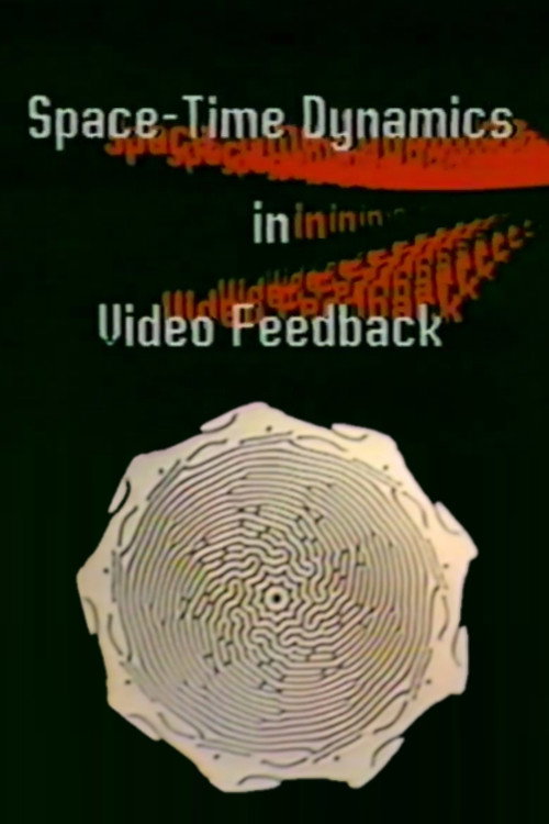 Space-Time Dynamics in Video-Feedback