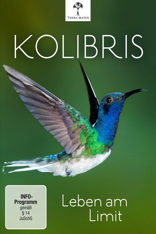 Kolibris - Leben am Limit