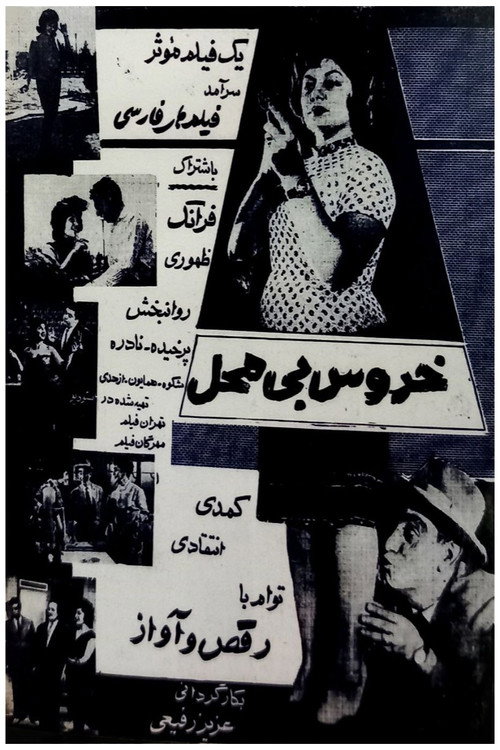 خروس بی‌محل