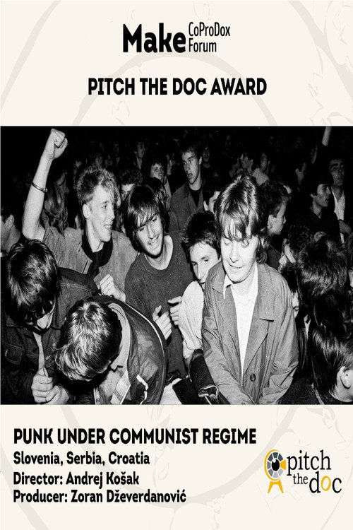 Punk pod komunističnim režimom