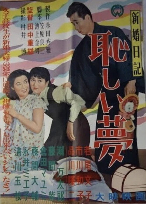新婚日記 恥しい夢