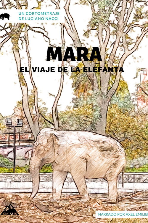 Mara, el viaje de la elefanta